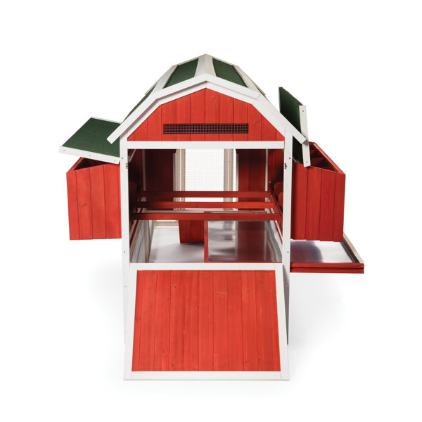 Archie & Oscar™ Hermione 33.93 Square Feet Chicken Coop with Chicken